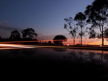 Light trails on silhouette trees against sky at night