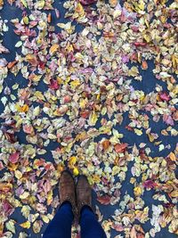 Low section of person standing on autumn leaves