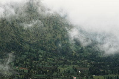 Scenic view of trees and buildings against sky