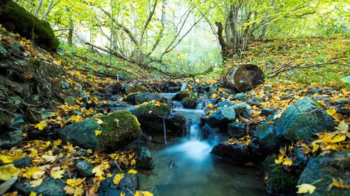 Little waterfall