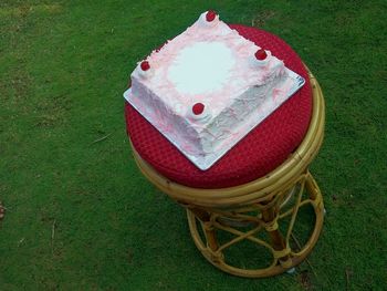 High angle view of bread in grass