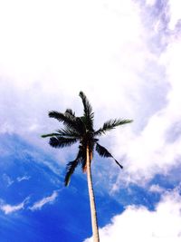 Low angle view of palm tree against sky