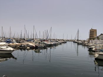 Sailboats moored in harbor