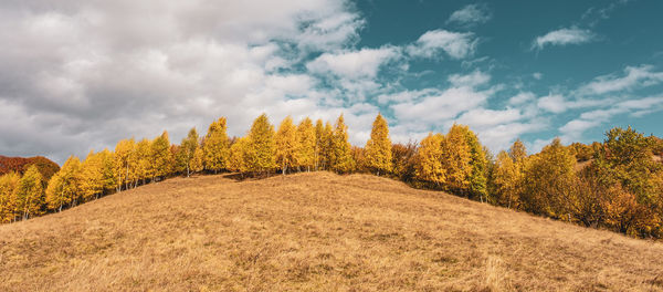 Beautiful autumn landscapes in the romanian mountains, fantanele village area, sibiu county, romania