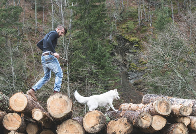 Low angle view of young man walking with dog on logs of wood