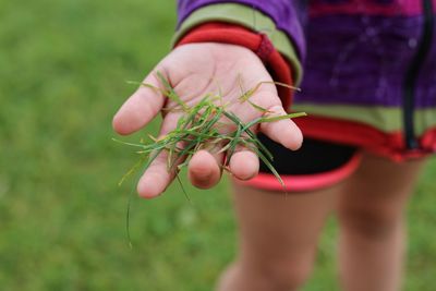 Midsection of girl holding grass