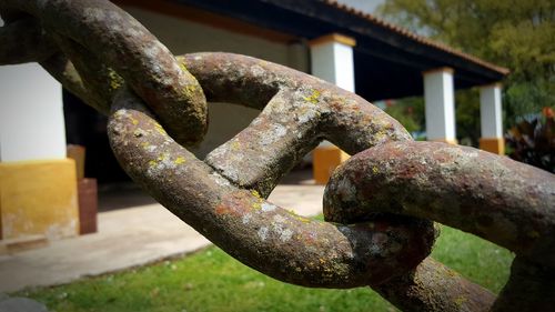 Close-up of rusty metal