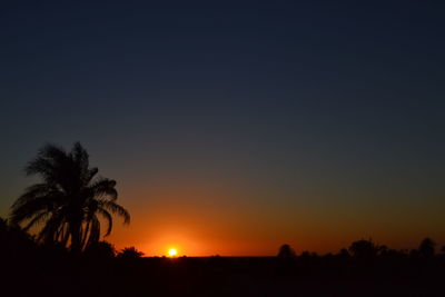 Silhouette of trees at sunset