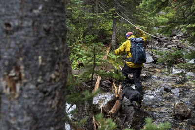 Back view of male hiker with backpack and dog trekking in woods while crossing creek in british columbia