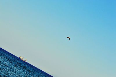 Low angle view of bird flying against clear blue sky