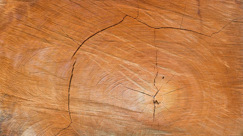 Full frame shot of wooden floor