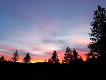 Silhouette trees in forest against sky at sunset