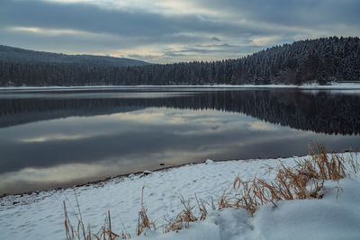 Scenic view of lake by snow covered trees against sky