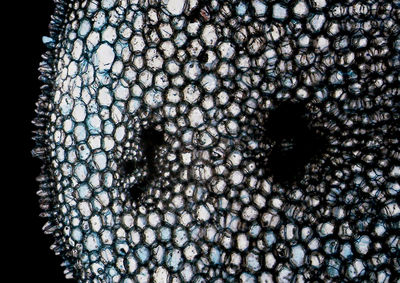 Full frame shot of tiled floor