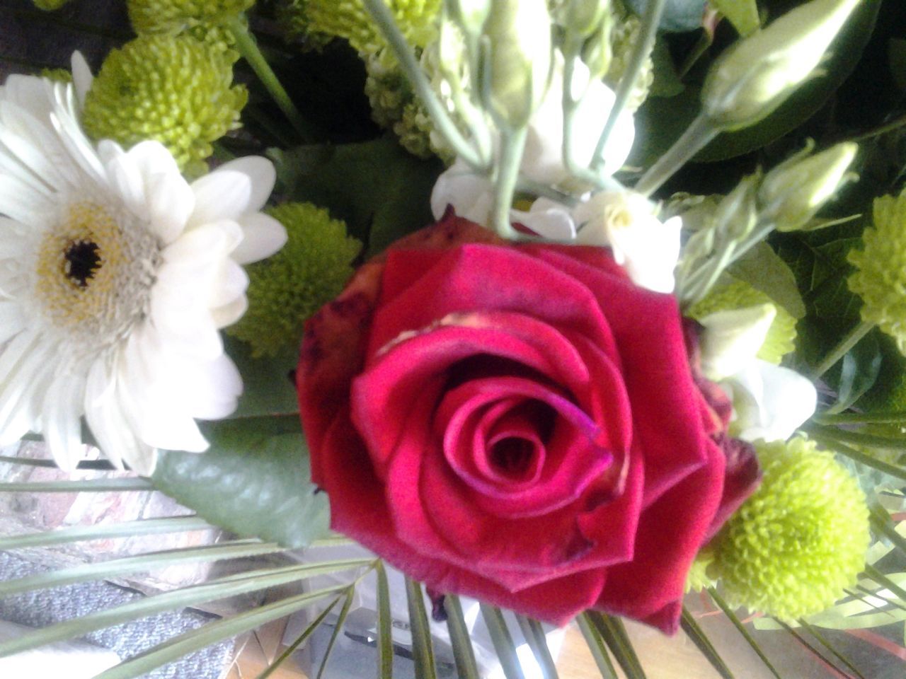 flower, freshness, petal, flower head, indoors, fragility, high angle view, close-up, beauty in nature, growth, plant, pink color, nature, no people, bouquet, rose - flower, blooming, multi colored, day, full frame