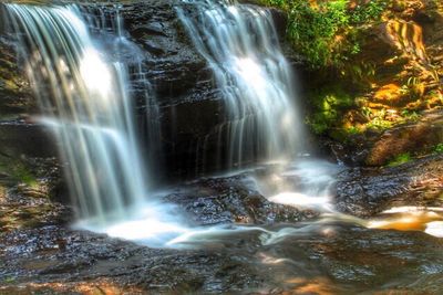 Scenic view of waterfall in forest