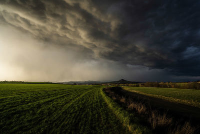 Scenic view of agricultural field against sky during sunset