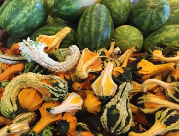 High angle view of pumpkins