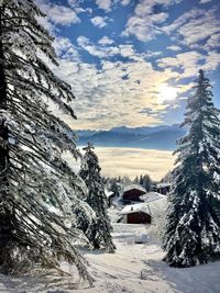 Panoramic view of snow covered mountains against sky