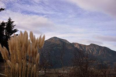 Scenic view of mountains against cloudy sky