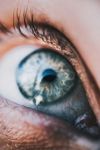 Close-up of human eye