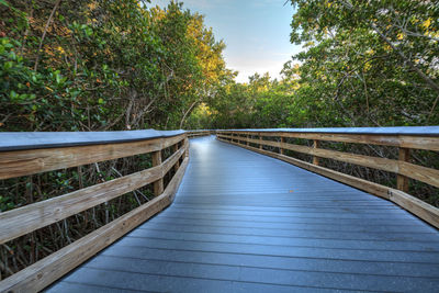 Narrow footbridge along plants and trees against sky