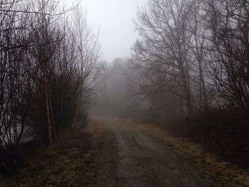 Road passing through foggy weather