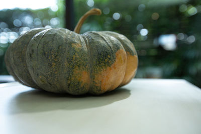 Close-up of pumpkin