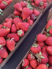 strawberry