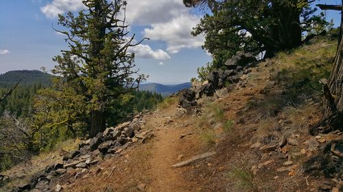 Scenic view of landscape