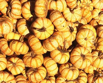 Full frame shot of pumpkins at market