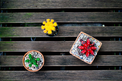 High angle view of red chili peppers on wood