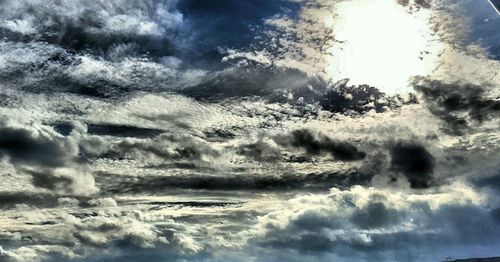 Close-up of tree against sky