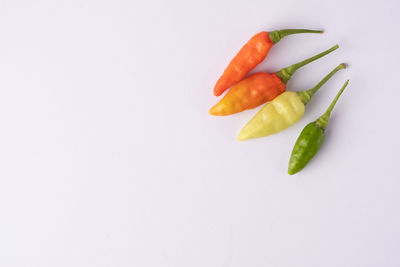 Close-up of chili pepper against white background