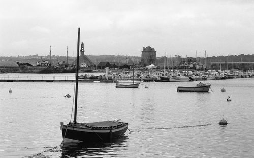 Sailboats moored in harbor