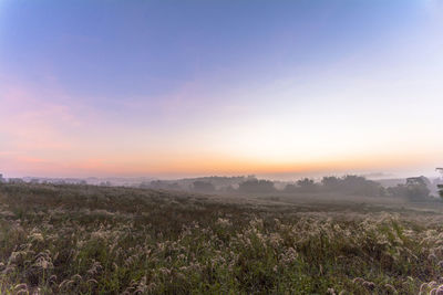 Scenic view of field against sky during sunset