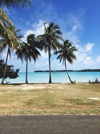 Palm trees on beach against sky