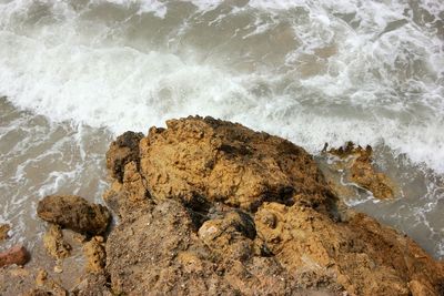 Waves splashing on rocks at shore