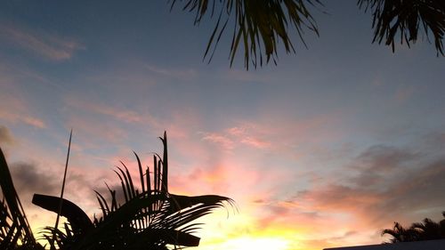 Low angle view of silhouette palm trees against sky
