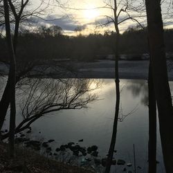 Bare trees by lake against sky