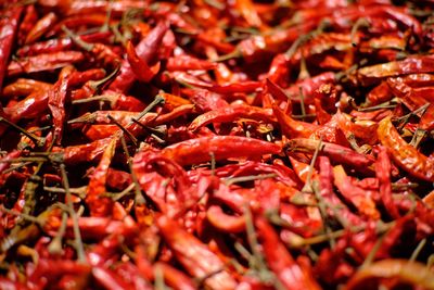 Full frame shot of red chili peppers