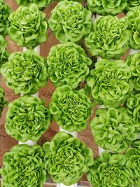 High angle view of vegetables for sale in market