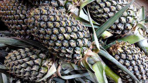 Close-up of fruits for sale in market