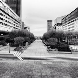 Buildings in city