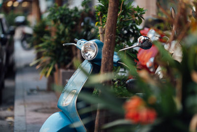 Motor scooter parked by plants