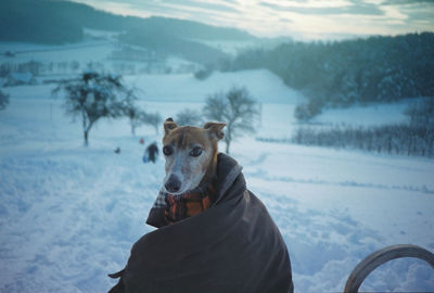 Dog standing on snow covered field wrapped in coat