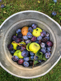 High angle view of fruits in container on field