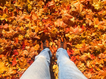 Low section of person standing on autumn leaves