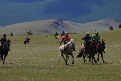 Group of people riding horses on field