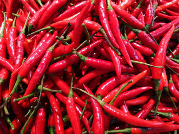 Full frame shot of red chili peppers